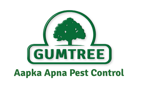 Gumtree Logo