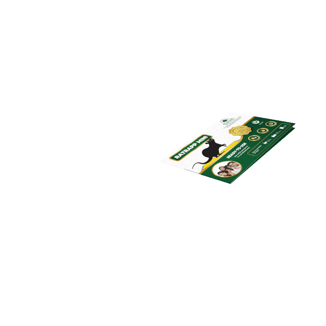 Gumtree Ratrapp Mini (Rat Glue Trap – Small) | Gumtree Traps