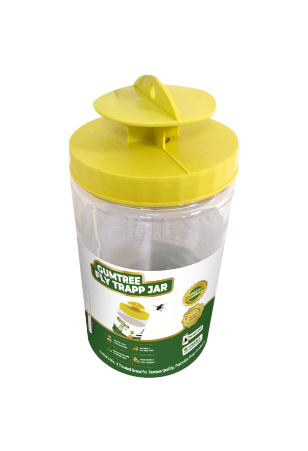 Reusable Housefly Trap