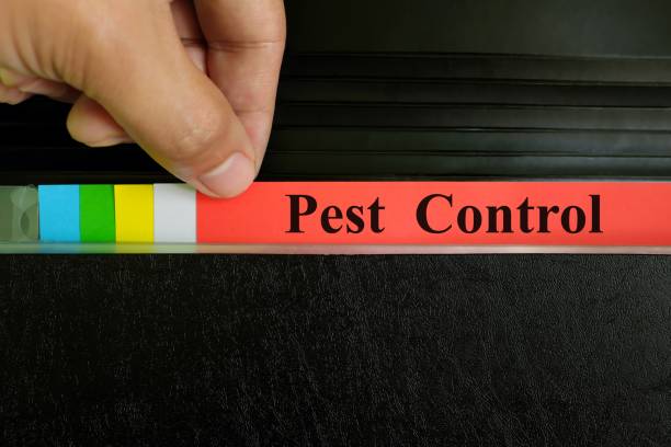 Explore how Gumtree solutions fit seamlessly into the B2B pest management landscape.
